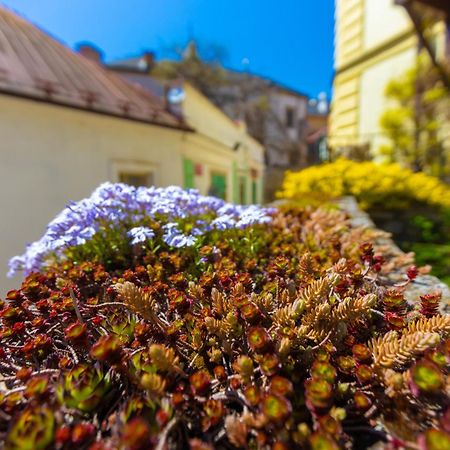 Penzion U Hradku Kutná Hora Exterior foto